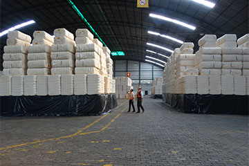 exportação de algodão