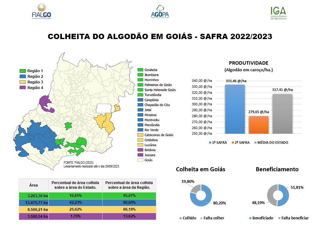 COLHEITA ALGODÃO 26 8 2023 COM PRODUTIVIDADE