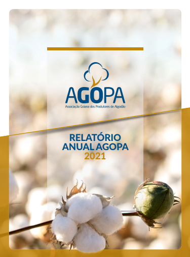 capa balanço anual Agopa 2022
