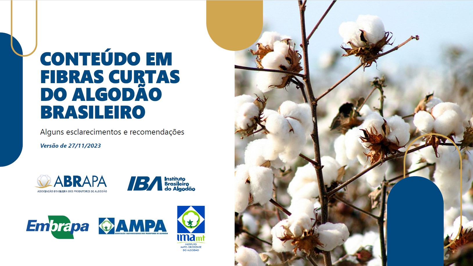 CAPA FIBRAS CURTAS