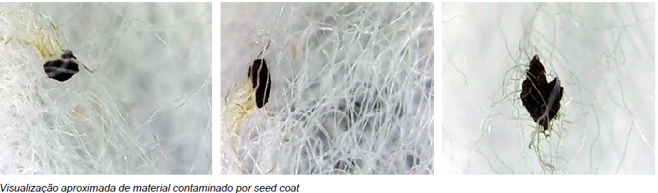 Captura de tela 2025 10 31 165753