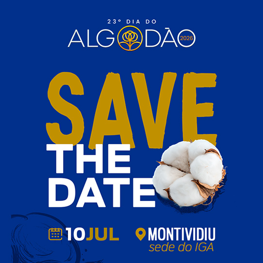 Banner 23 dia do Algodão