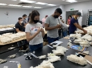 1º Curso de Classificadores de Algodão - Turma 1-19