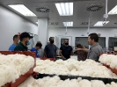 1º Curso de Capacitação de Classificadores de Algodão - Turma 2-1