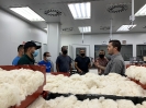 1º Curso de Capacitação de Classificadores de Algodão - Turma 2-2