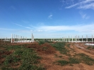 Obra Fazenda Rancho Velho-4