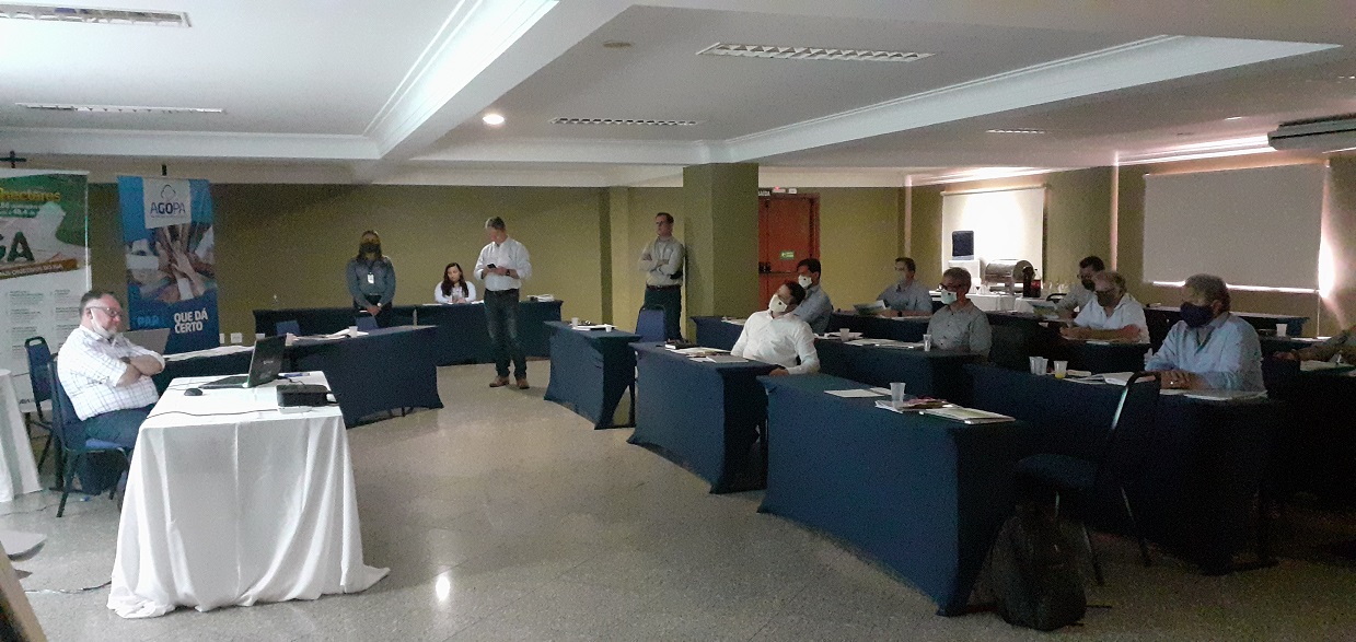 mini 20200807 120739