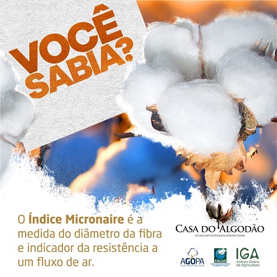 Post Você Sabia Agosto Indice MicronaireCUT