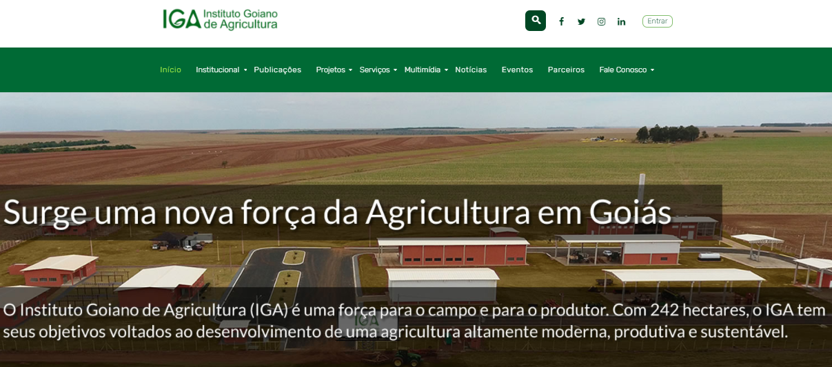 novo site
