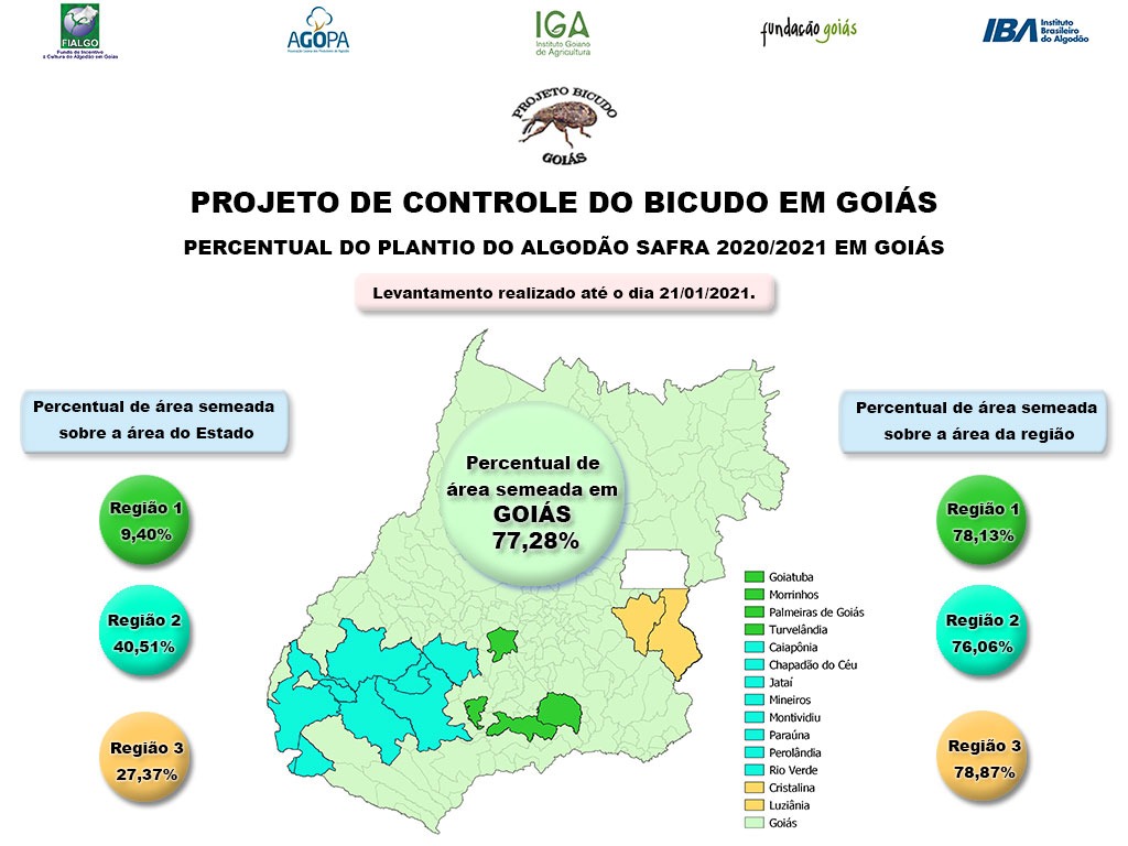 plantio bicudo 21 01 21