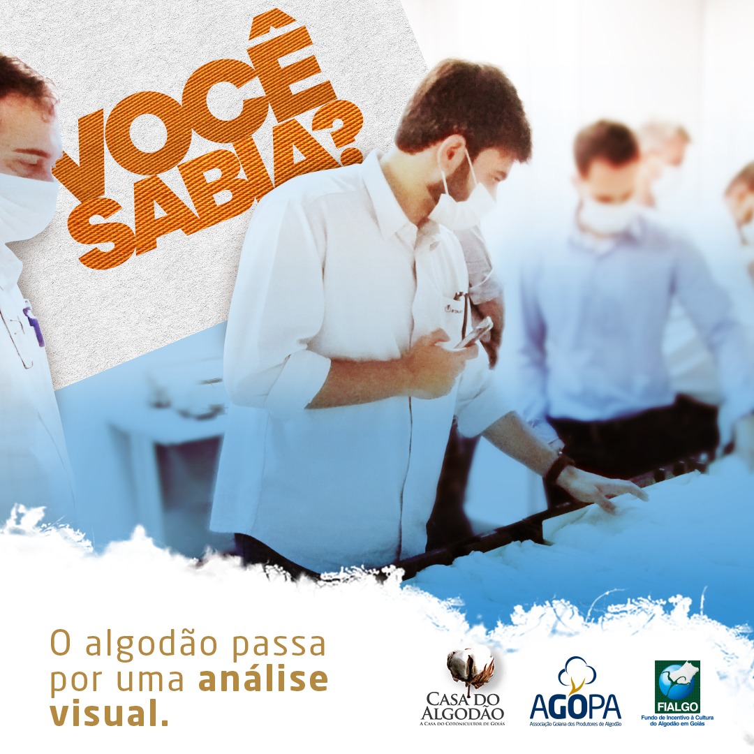 VOCÊ SABIA ANÁLISE VISUAL