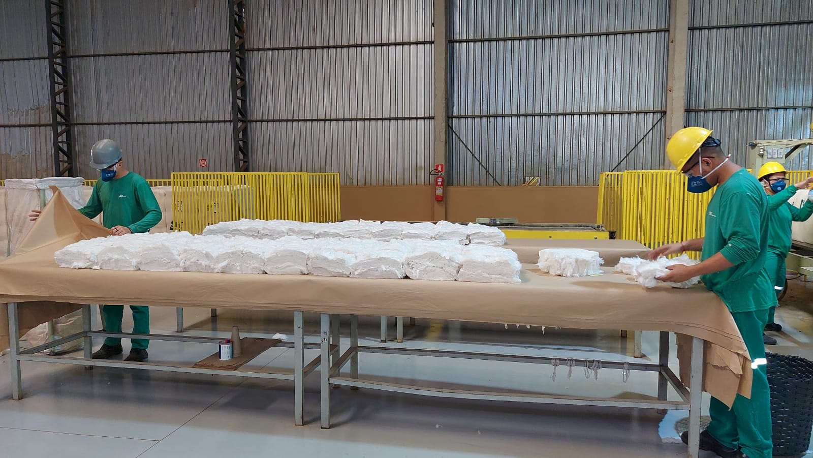 ALGODOEIRA SLC 2022 5