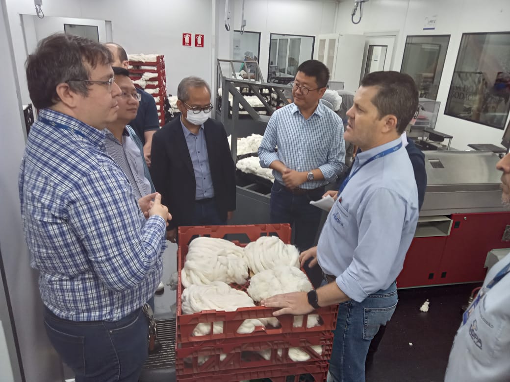 CHINESES NO LABORATÓRIO 16 8 2023 4