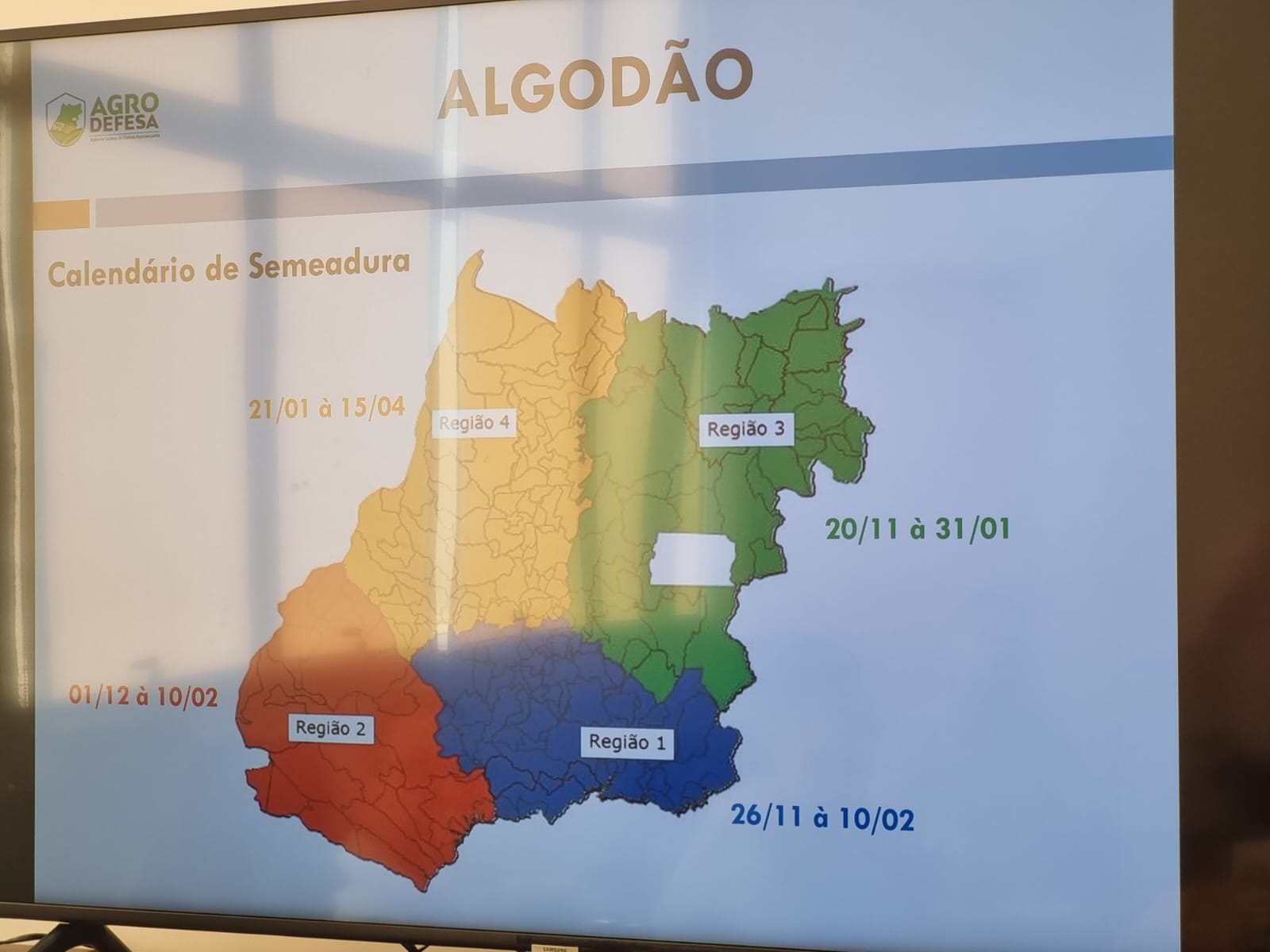 vazio sanitário 23 24