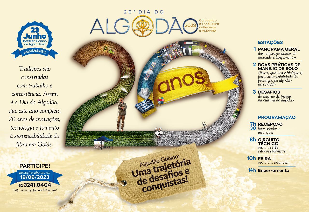 programação