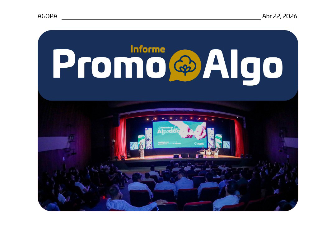 informe promo algo abril2026